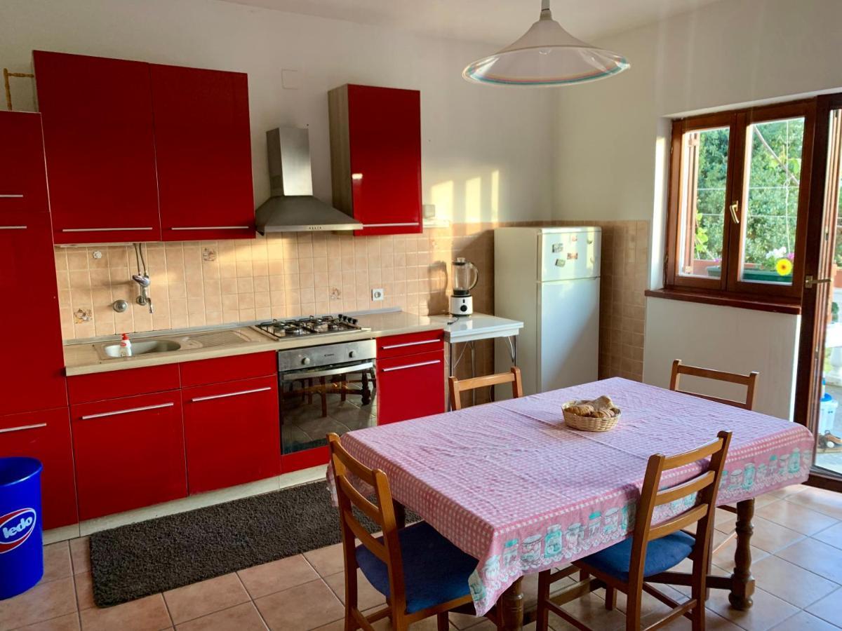 Apartments Bakić Kožino Zewnętrze zdjęcie